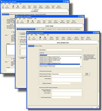 screenshot of Bankruptcy Software